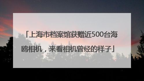 上海市档案馆获赠近500台海鸥相机，来看相机曾经的样子