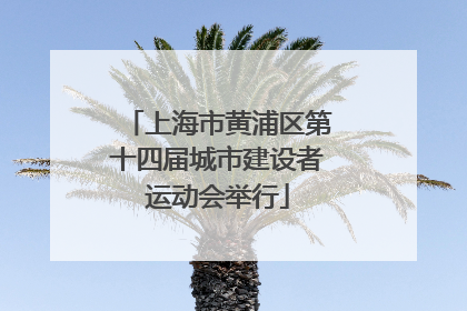 上海市黄浦区第十四届城市建设者运动会举行