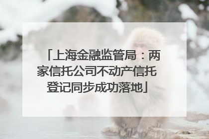 上海金融监管局：两家信托公司不动产信托登记同步成功落地