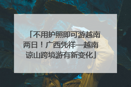 不用护照即可游越南两日！广西凭祥—越南谅山跨境游有新变化