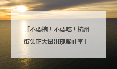 不要摘！不要吃！杭州街头正大量出现紫叶李