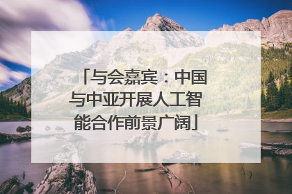与会嘉宾：中国与中亚开展人工智能合作前景广阔