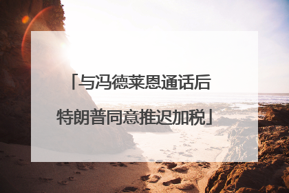 与冯德莱恩通话后 特朗普同意推迟加税