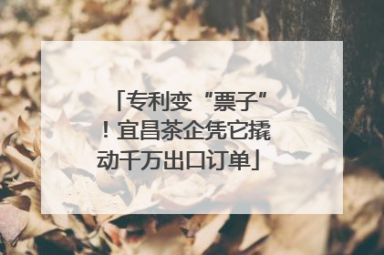专利变“票子”！宜昌茶企凭它撬动千万出口订单
