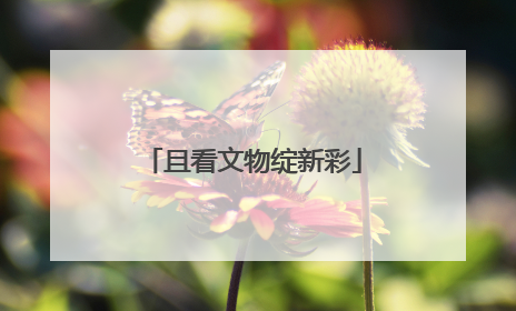 且看文物绽新彩