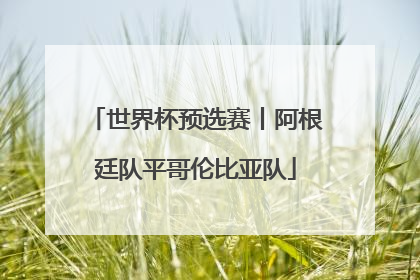 世界杯预选赛丨阿根廷队平哥伦比亚队