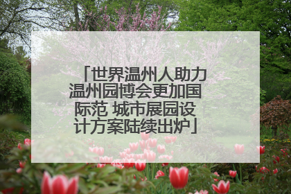 世界温州人助力温州园博会更加国际范 城市展园设计方案陆续出炉