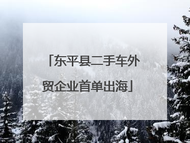 东平县二手车外贸企业首单出海