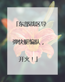 东部战区导弹快艇编队，开火！