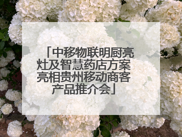 中移物联明厨亮灶及智慧药店方案亮相贵州移动商客产品推介会