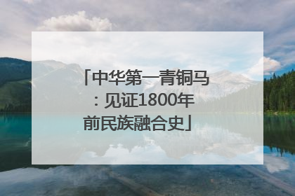 中华第一青铜马：见证1800年前民族融合史