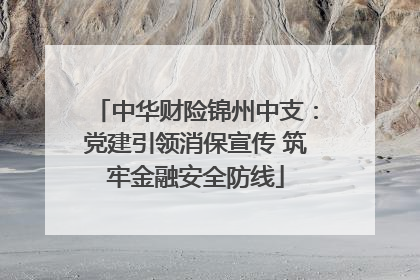 中华财险锦州中支：党建引领消保宣传 筑牢金融安全防线