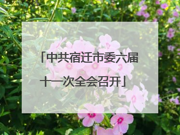 中共宿迁市委六届十一次全会召开