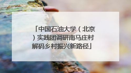 中国石油大学（北京）实践团调研南马庄村解码乡村振兴新路径