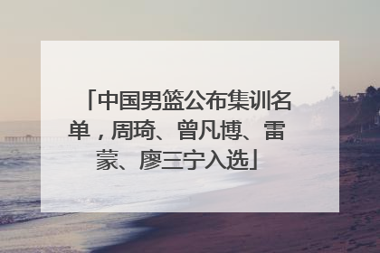 中国男篮公布集训名单，周琦、曾凡博、雷蒙、廖三宁入选