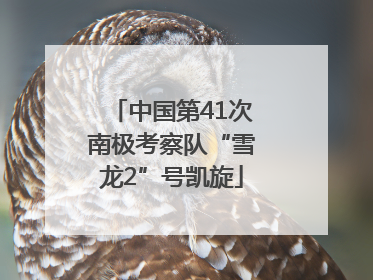 中国第41次南极考察队“雪龙2”号凯旋