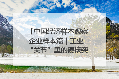 中国经济样本观察·企业样本篇｜工业“关节”里的硬核突围——老企业洛轴创新蝶变启示录