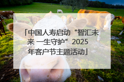 中国人寿启动“智汇未来 一生守护”2025年客户节主题活动