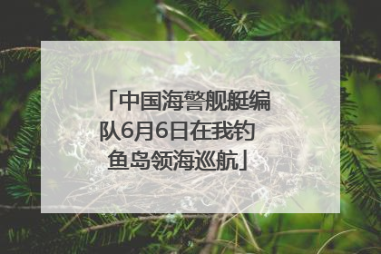 中国海警舰艇编队6月6日在我钓鱼岛领海巡航