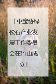 中宝协绿松石产业发展工作委员会在竹山成立