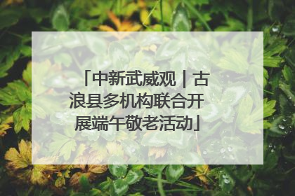 中新武威观｜古浪县多机构联合开展端午敬老活动