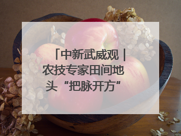 中新武威观｜农技专家田间地头“把脉开方”送“及时雨”