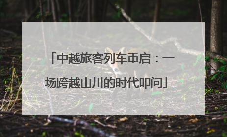 中越旅客列车重启：一场跨越山川的时代叩问