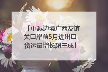 中越边境广西友谊关口岸前5月进出口货运量增长超三成