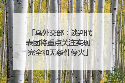 乌外交部：谈判代表团将重点关注实现完全和无条件停火