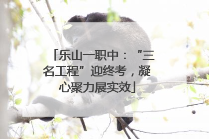 乐山一职中：“三名工程”迎终考，凝心聚力展实效