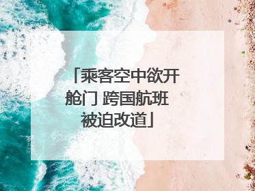乘客空中欲开舱门 跨国航班被迫改道