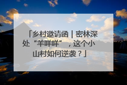 乡村邀请函｜密林深处“羊咩咩”，这个小山村如何逆袭？