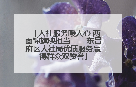 人社服务暖人心 两面锦旗映担当——东昌府区人社局优质服务赢得群众双赞誉