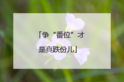 争“番位”才是真跌份儿