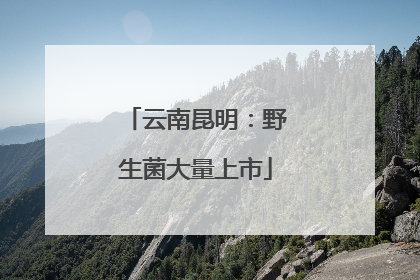云南昆明：野生菌大量上市