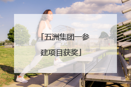五洲集团一参建项目获奖