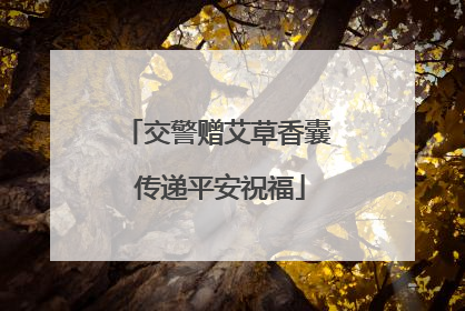 交警赠艾草香囊 传递平安祝福