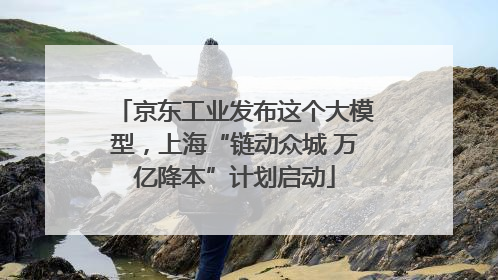 京东工业发布这个大模型，上海“链动众城 万亿降本”计划启动
