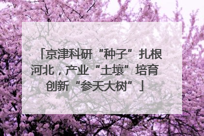 京津科研“种子”扎根河北，产业“土壤”培育创新“参天大树”