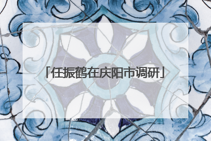 任振鹤在庆阳市调研