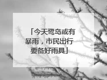 今天鹭岛或有暴雨，市民出行要备好雨具