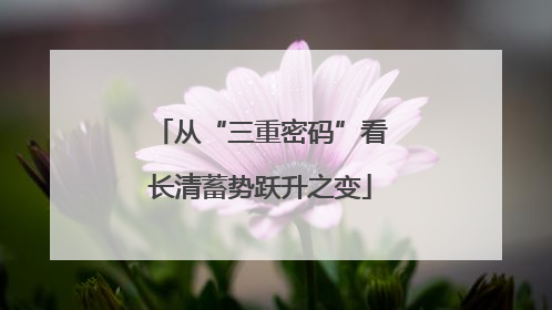 从“三重密码”看长清蓄势跃升之变