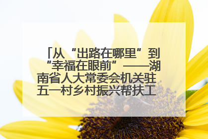 从“出路在哪里”到“幸福在眼前”——湖南省人大常委会机关驻五一村乡村振兴帮扶工作队书写振兴答卷