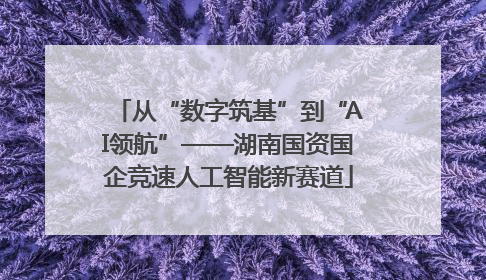 从“数字筑基”到“AI领航”——湖南国资国企竞速人工智能新赛道