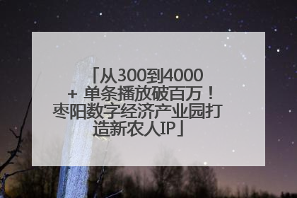 从300到4000+ 单条播放破百万！枣阳数字经济产业园打造新农人IP