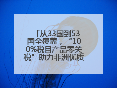 从33国到53国全覆盖，“100%税目产品零关税”助力非洲优质商品入华