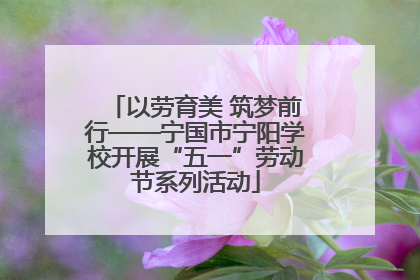 以劳育美 筑梦前行——宁国市宁阳学校开展“五一”劳动节系列活动