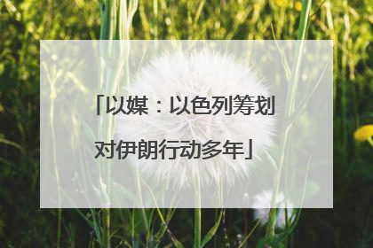 以媒：以色列筹划对伊朗行动多年