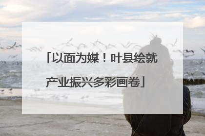 以面为媒！叶县绘就产业振兴多彩画卷