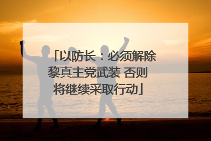 以防长：必须解除黎真主党武装 否则将继续采取行动